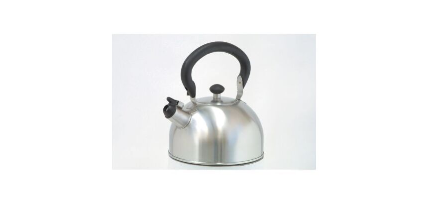 Bouilloire sifflante 2,5 L