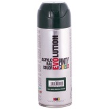 Bombe peinture Pinty plus évolution mat - 400 mL - vert mousse RAL6005