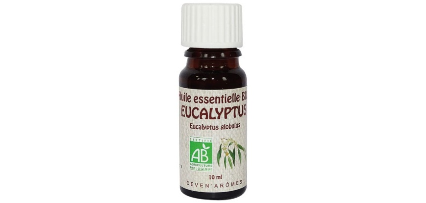 Huile essentielle 10 ml Eucalyptus - Bio