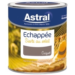 Peinture Echappée satin - 0.5 L - criquet