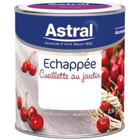 Peinture Echappée satin - 0.5 L - toile de jute