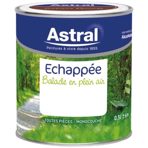 Peinture Echappée satin - 0.5 L - brindille