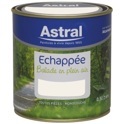 Peinture Echappée satin - 0.5 L - oxygène
