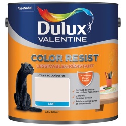 Peinture murs et boiseries mat - color résist - 2.5 L - plâtre rose