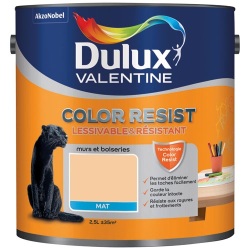 Peinture murs et boiseries mat - color résist - 2.5 L - aurore