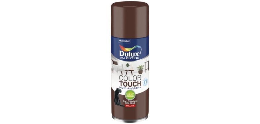 Bombe peinture 400 ml Color Touch Brillant - Brun Chataîgne