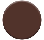 Bombe peinture 400 ml Color Touch Brillant - Brun Chataîgne