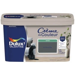 Peinture crème de Couleur satin - 2.5 L - anthracite