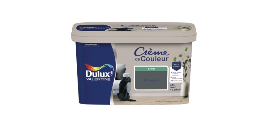 Peinture 2.5 L Crème de Couleur Satin - Anthracite