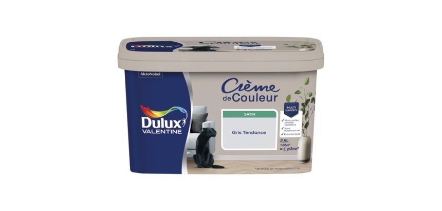 Peinture 2.5 L Crème de Couleur Satin - Gris Tendance