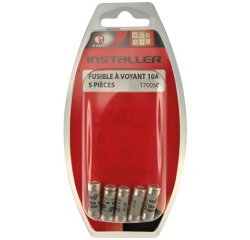 Fusible à voyant - 10 A - lot de 5