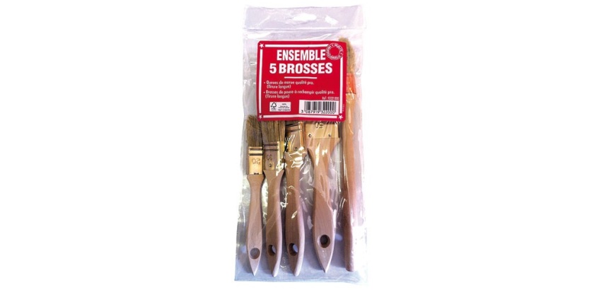 Brosse professionnel norme fsc lot de 5