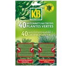 Bâtonnet - nutritifs pour plantes vertes - lot de 40