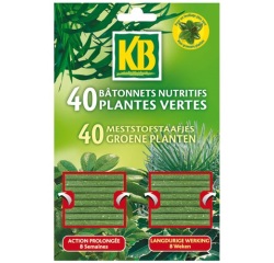 Bâtonnet - nutritifs pour plantes vertes - lot de 40