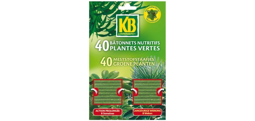 Bâtonnet - nutritifs pour plantes vertes - lot de 40