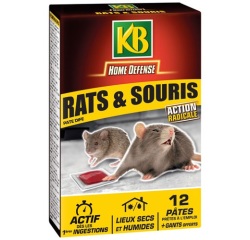 Appât - rat et souris - lieux secs et humides - lot de 12 pâtes