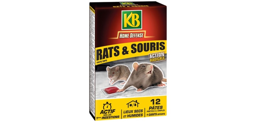 Appât - rat et souris - lieux secs et humides - lot de 12 pâtes