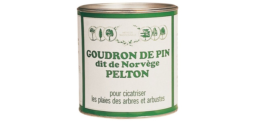 Goudron - de Pin dit de Norvège - 800 g