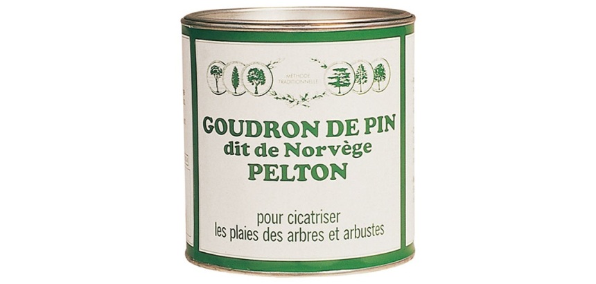 Goudron - de Pin dit de Norvège - 800 g