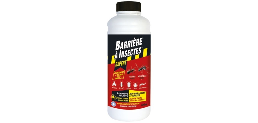 Insecticide concentré - rampants et volants - 800 mL