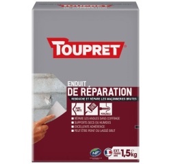Enduit de réparation extérieur poudre 1.5kg gris