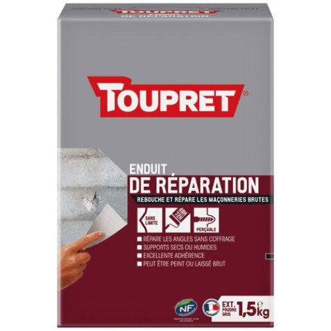 Enduit de réparation extérieur poudre 1.5kg gris