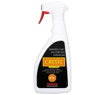 Prêt à l'emploi - pistolet - 500 mL
