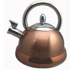 Bouilloire inox Cuivré 3 L à sifflet