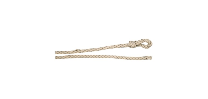 Longe polypropylène - D12 mm - L : 2 m