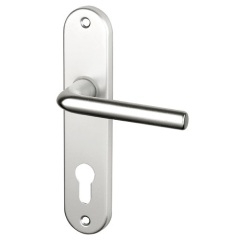 Poignée de porte extérieur - Courchevel - sur plaque - entraxe 165 mm - clé