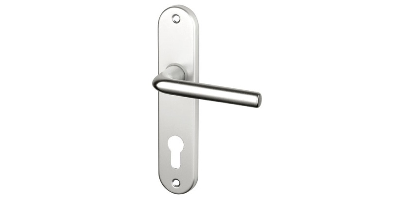 Poignée de porte extérieur - Courchevel - sur plaque - entraxe 165 mm - clé