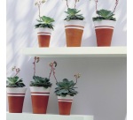 Bombe peinture 400 ml Color Touch Mat - Noir