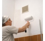 Peinture anti-humidité intérieure revêtement étanche 0.75 L blanc mat