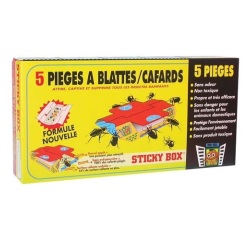 5 pièges à cafards et blattes
