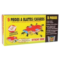 5 pièges à cafards et blattes