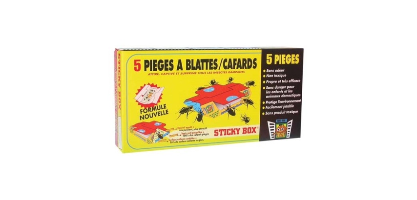 5 pièges à cafards et blattes
