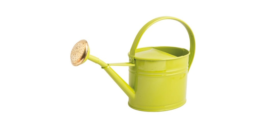 Arrosoir - ovale - 1.75L - vert olive