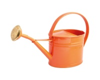 Arrosoir - ovale - 1.75L - corail