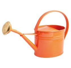 Arrosoir - ovale - 1.75L - corail