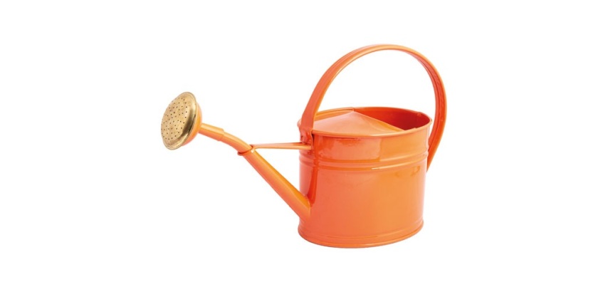 Arrosoir - ovale - 1.75L - corail