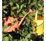 Arrosoir - ovale - 1.75L - corail