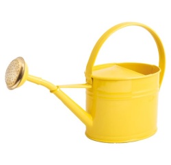 Arrosoir - ovale - 1.75L - jaune citron