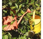 Arrosoir - ovale - 1.75L - jaune citron