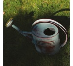 Arrosoir - ovale - 4L - vert vieilli