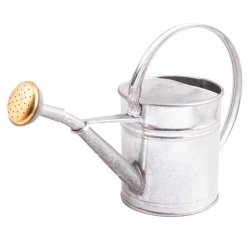 Arrosoir - rond - 1L - acier galvanisé