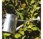 Arrosoir - rond - 1L - acier galvanisé