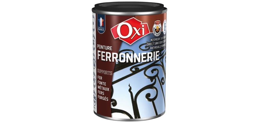 Peinture décorative - spéciale ferronnerie - 250 mL - noir extra mat