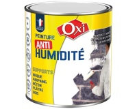 Peinture anti humidité 500 ml