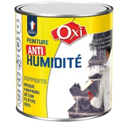 Peinture anti humidité 500 ml