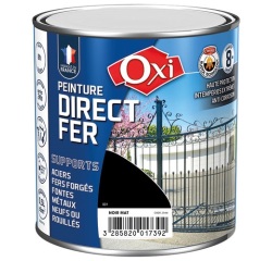 Peinture 0,5 L Mat Direct Fer - Noir RAL 9005